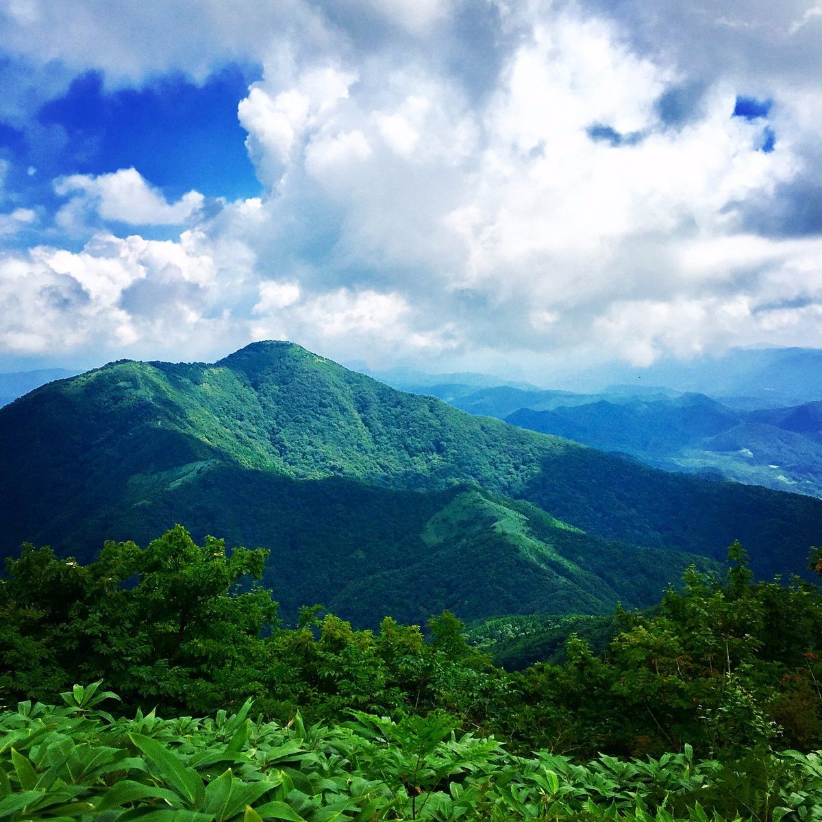 🏞️ 시오가마 냉천 (塩釜の冷泉) 이미지 6